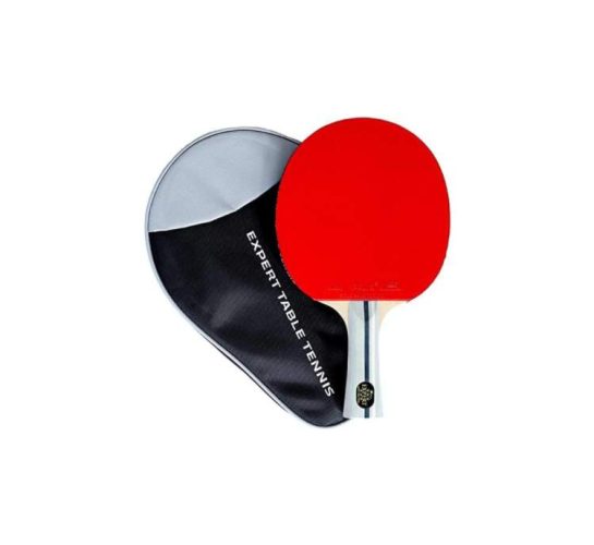 Palio Expert 3.0 Table Tennis Racket