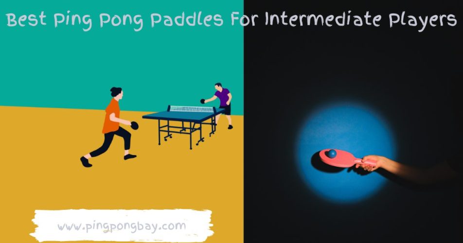 Best Ping Pong Paddles For Intermediate Players