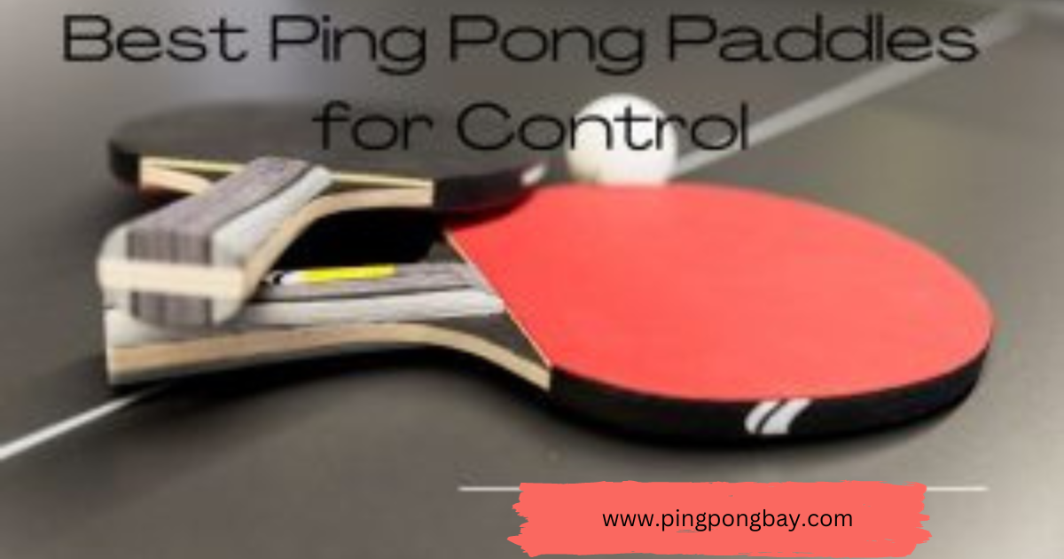 best pingpong paddles for control